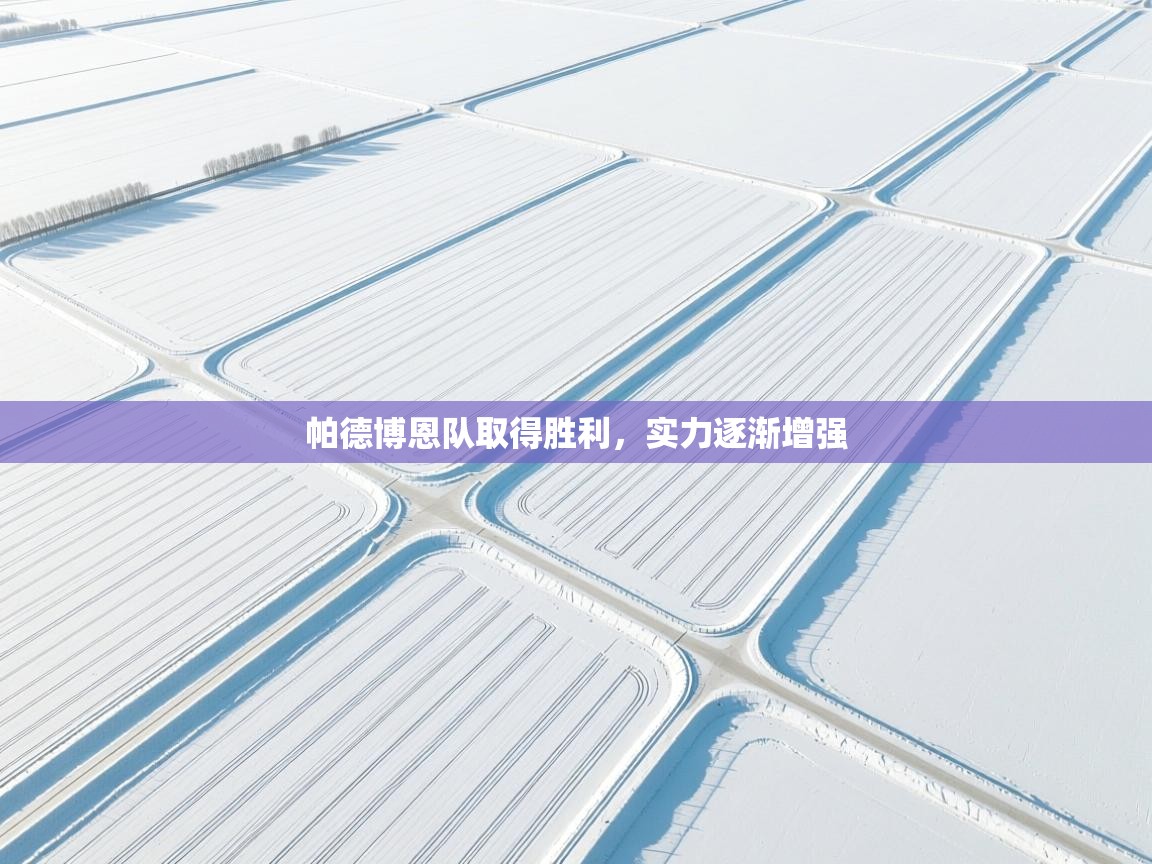 帕德博恩队取得胜利，实力逐渐增强