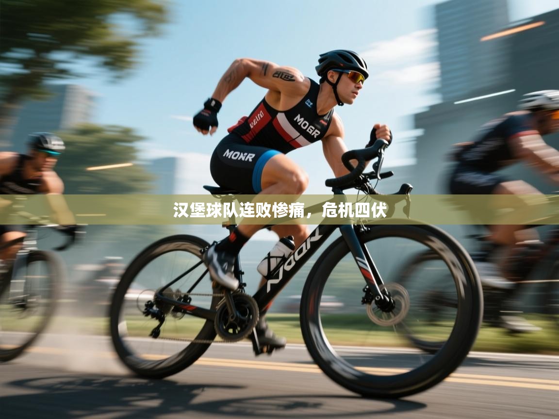 汉堡球队连败惨痛，危机四伏  第2张