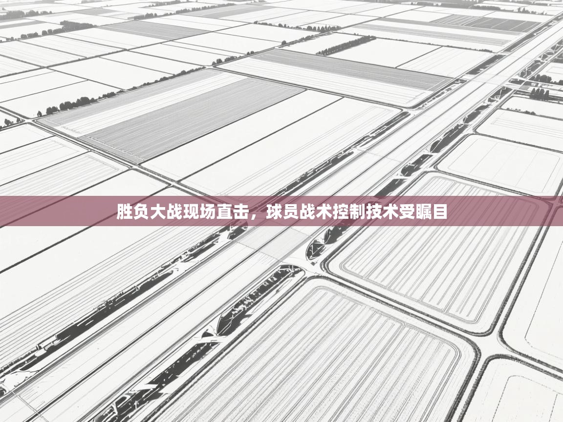 胜负大战现场直击，球员战术控制技术受瞩目  第2张