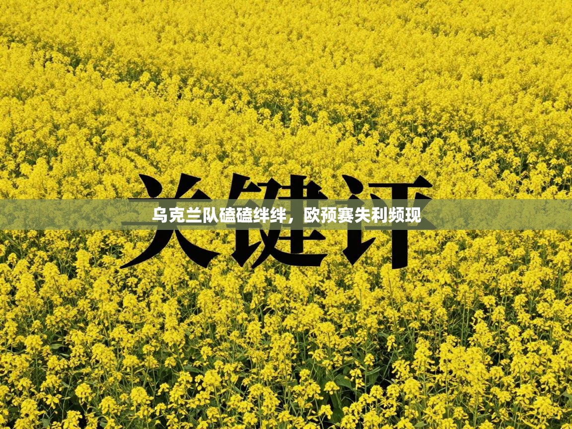 乌克兰队磕磕绊绊,欧预赛失利频现