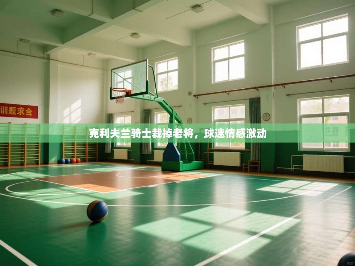 克利夫兰骑士裁掉老将,球迷情感激动