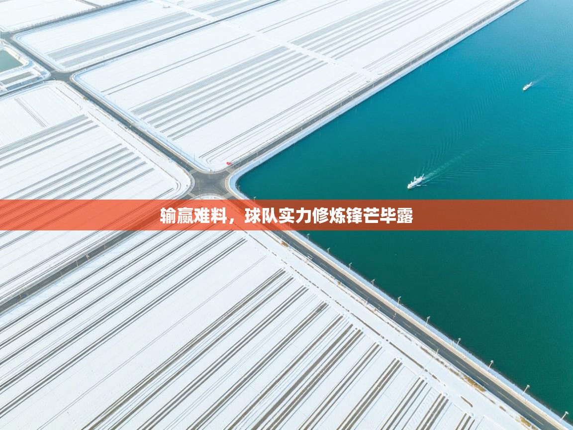 输赢难料,球队实力修炼锋芒毕露