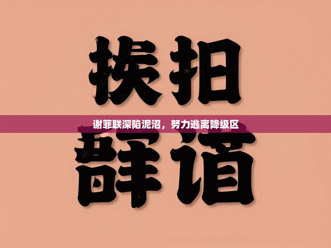 谢菲联深陷泥沼,努力逃离降级区 第2张